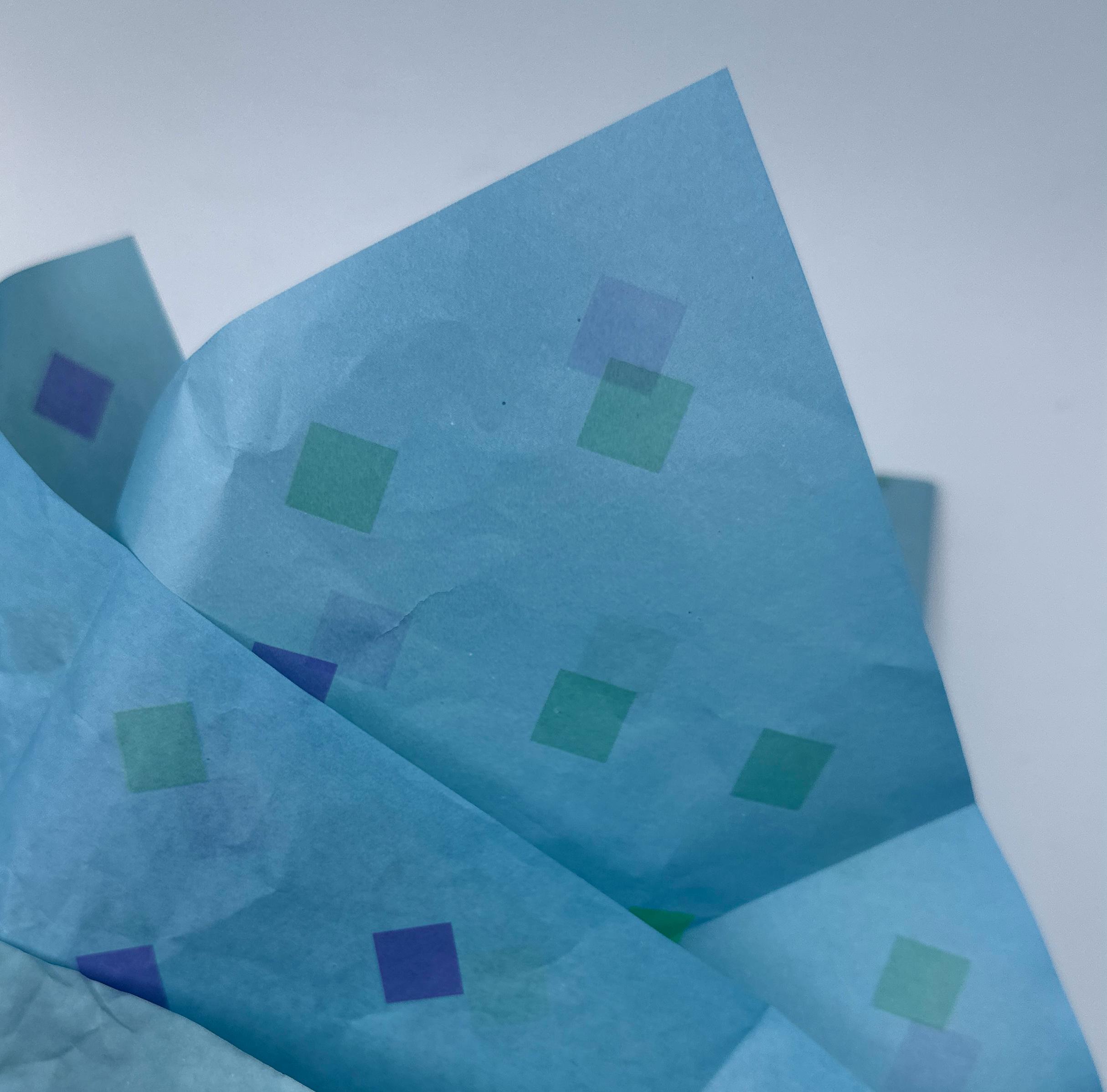 Alcazar Medium Gift Bags with Tissues