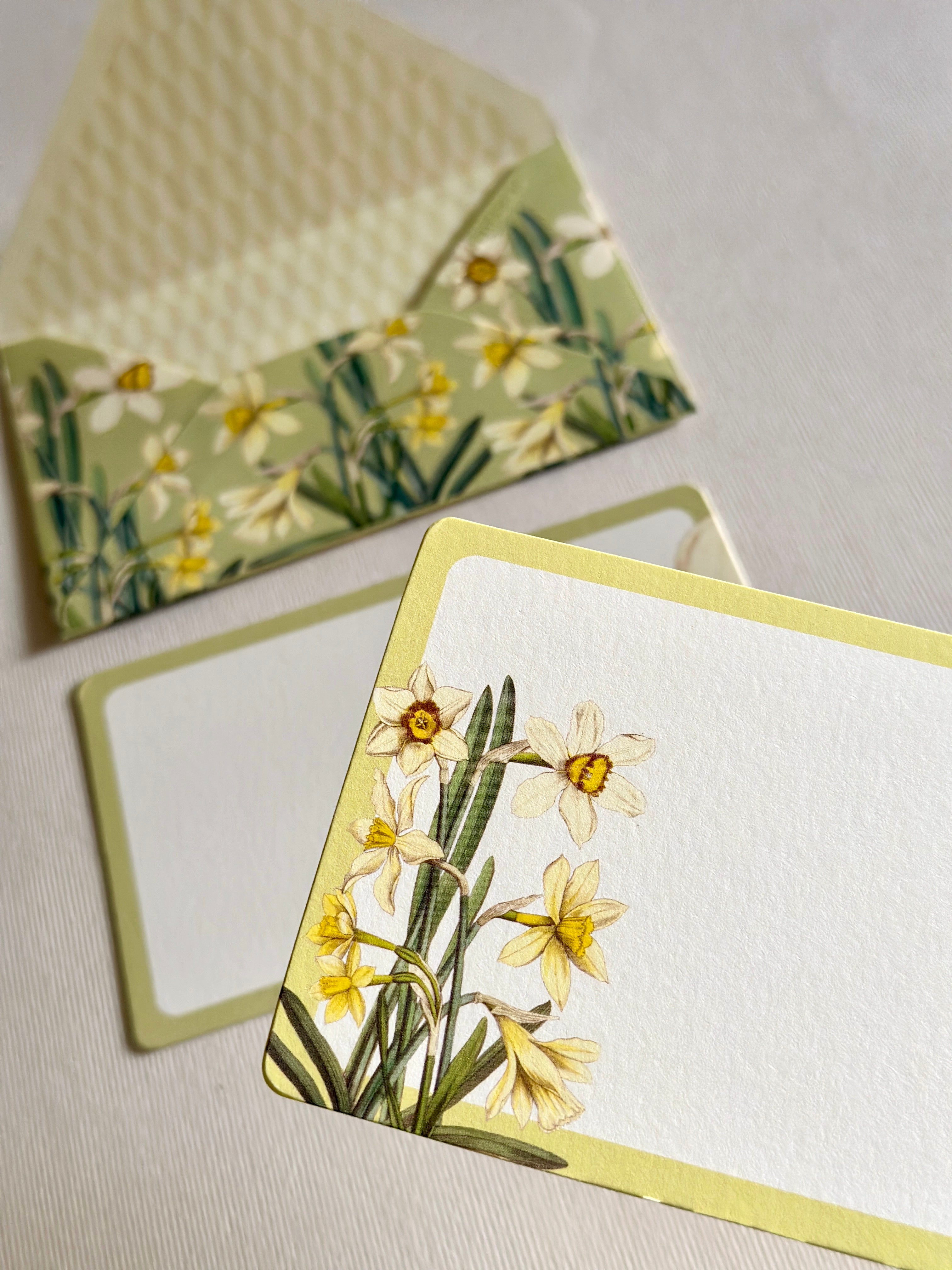 Daffodils & Metamorphosis Duo Kit