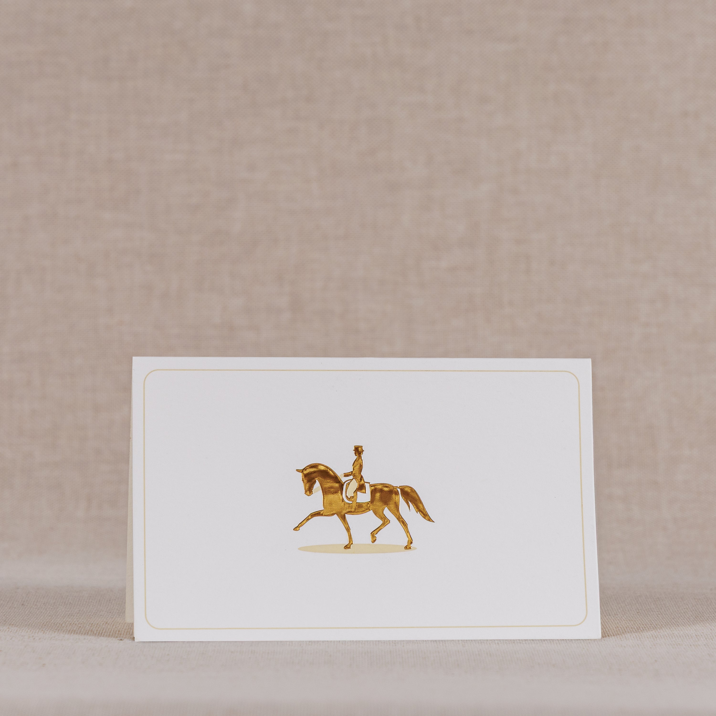 Dressage Horse with Rider