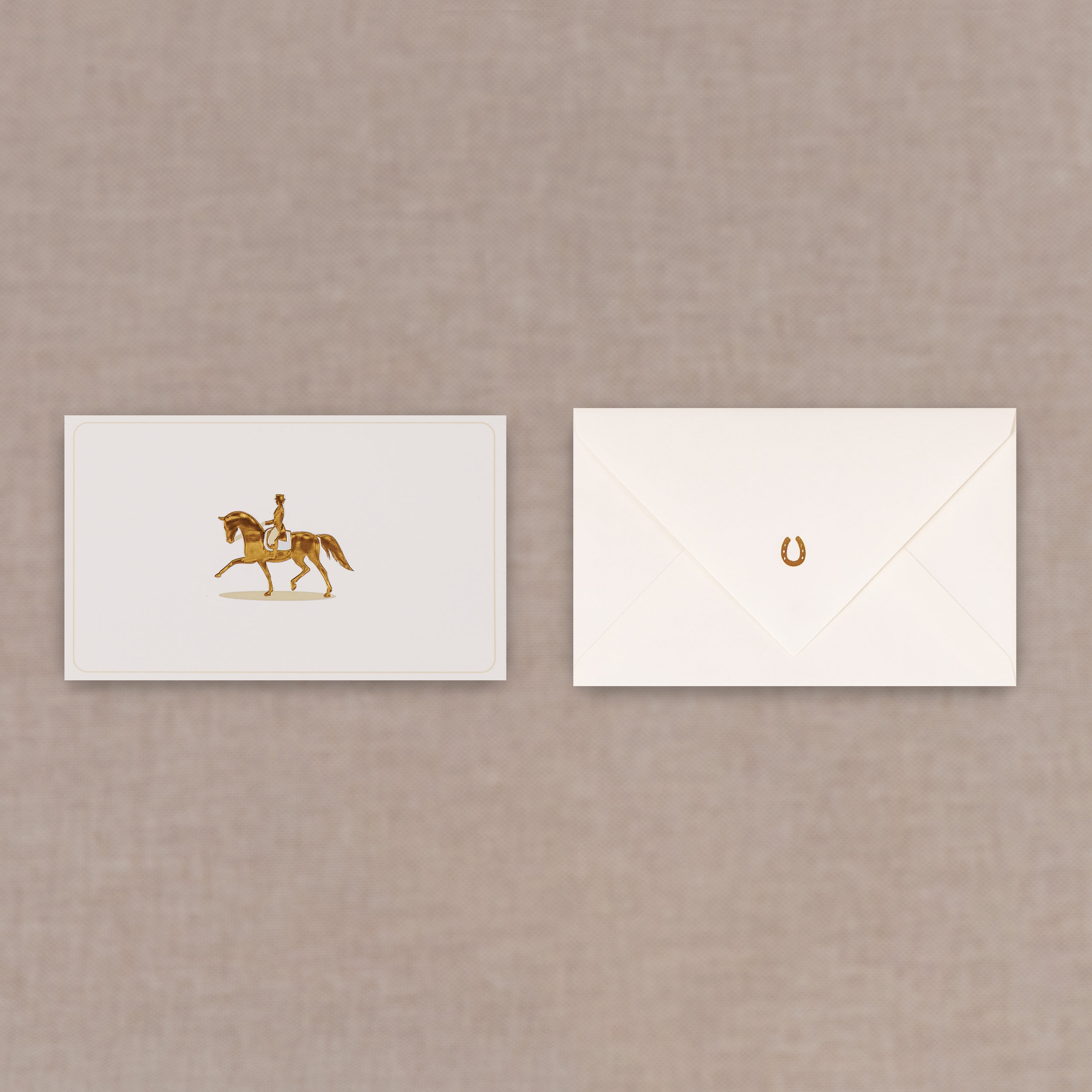 Dressage Horse with Rider