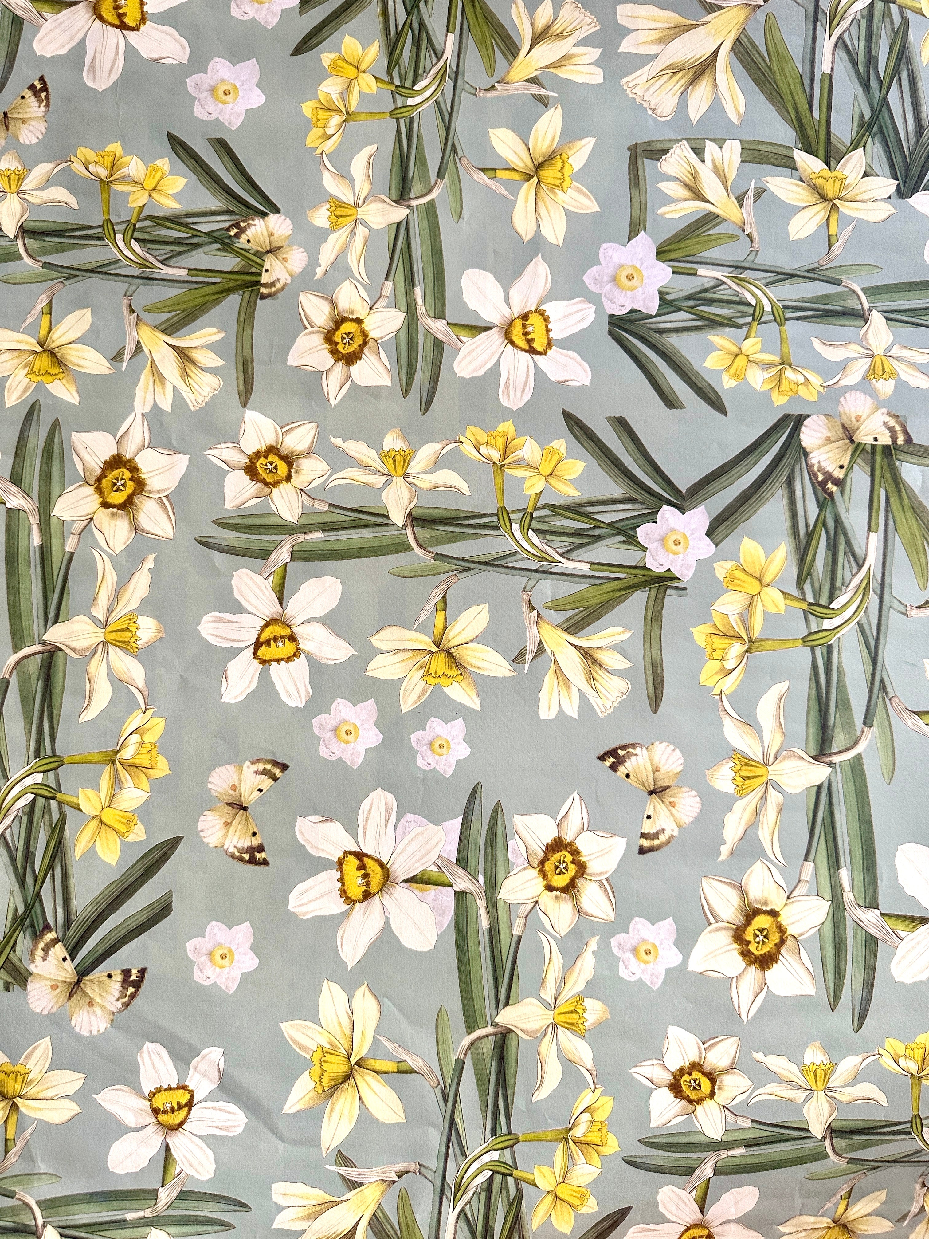 Daffodils Gift Wrap