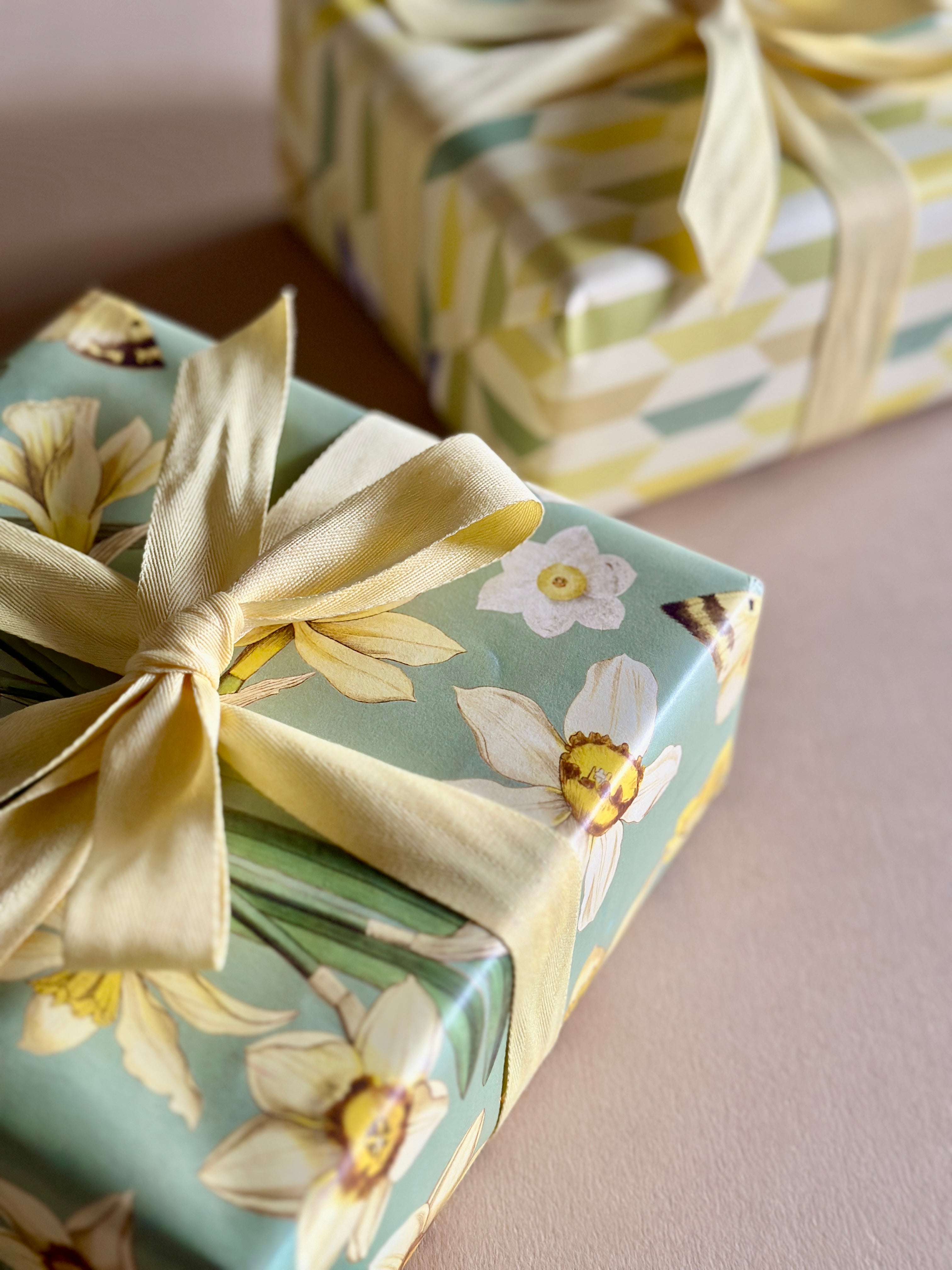 Daffodils Gift Wrap