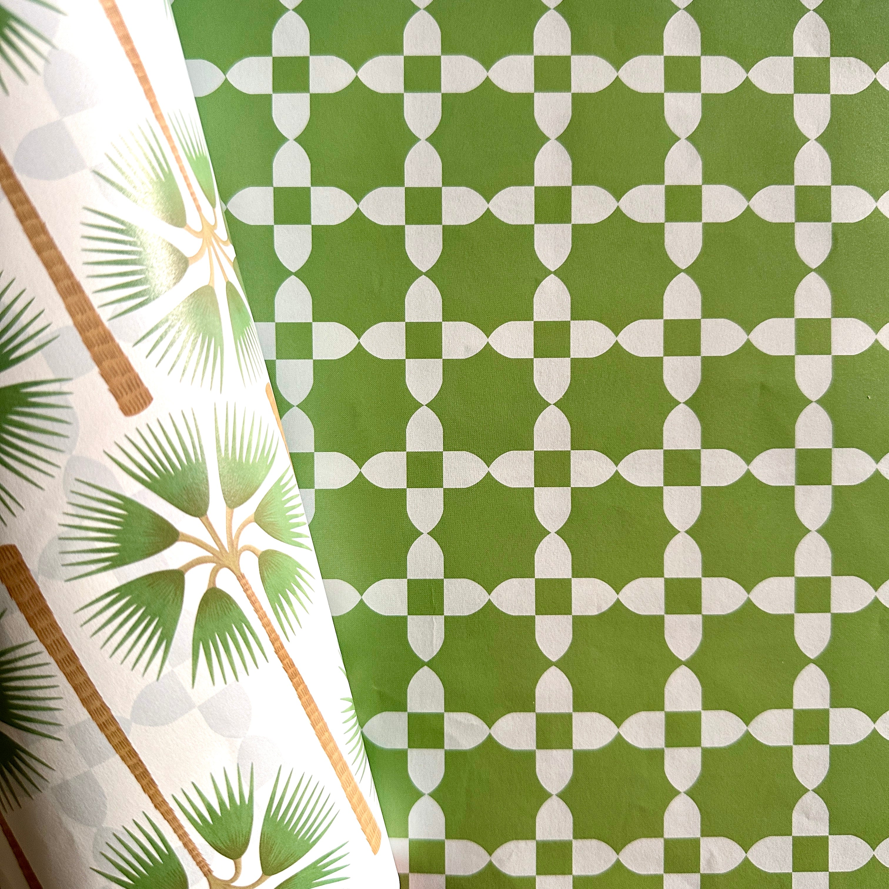 Fan Palm Gift Wrap
