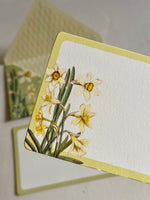 Daffodils Duo Kit