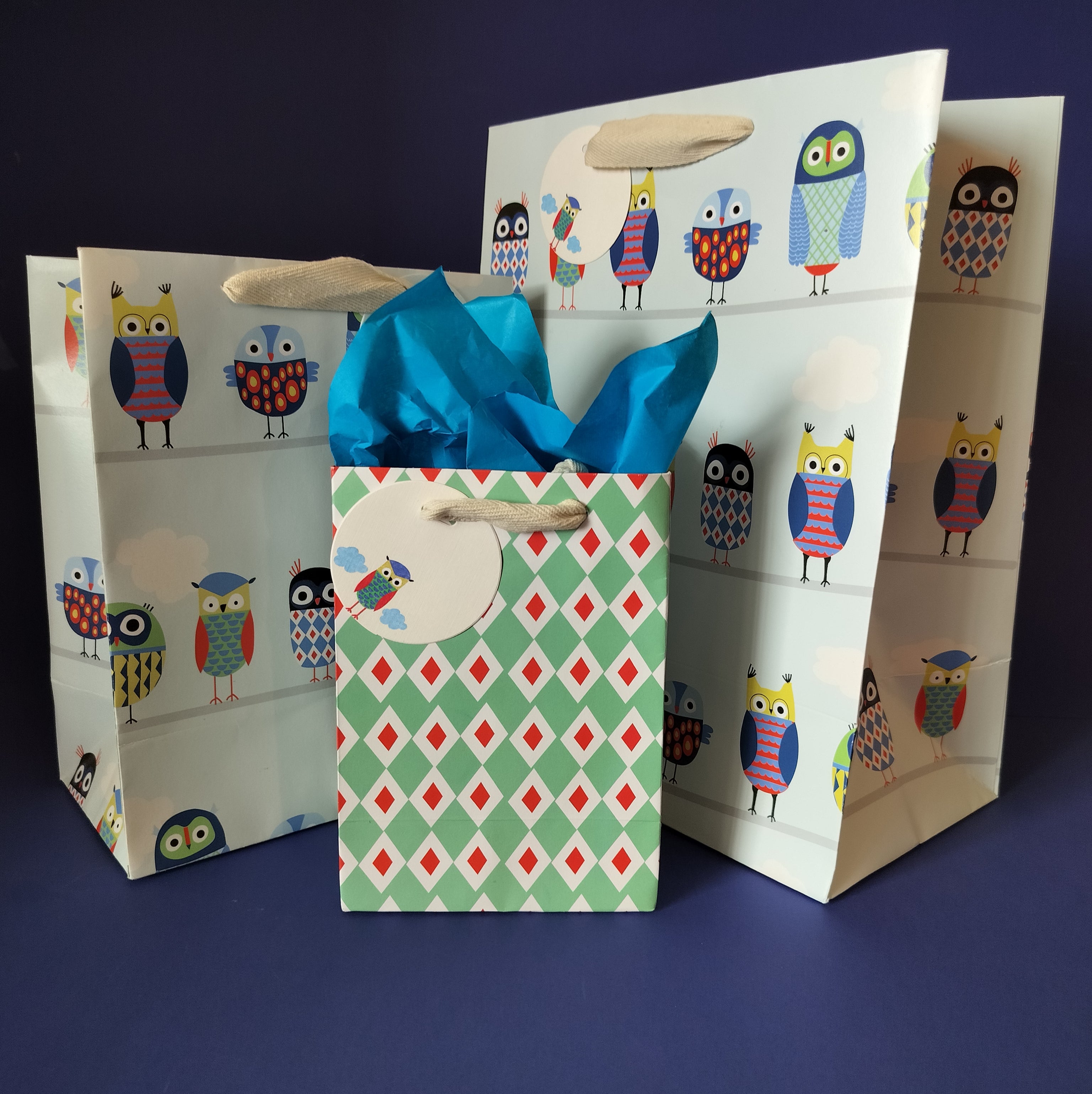Owl Medium Gift Bags