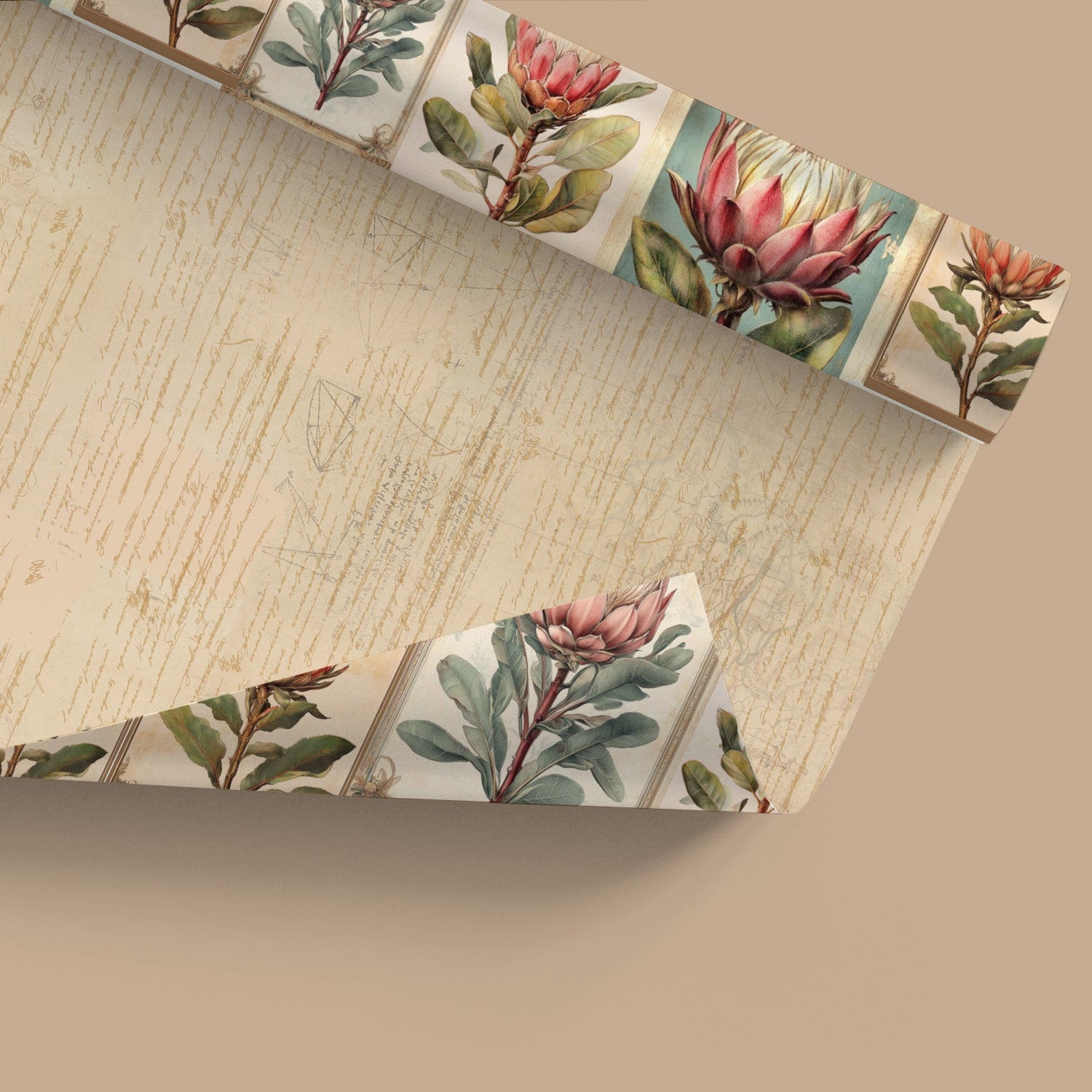 Protea Gift Wrap