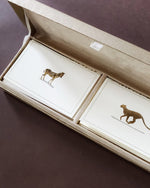 Savanna Duo Kit