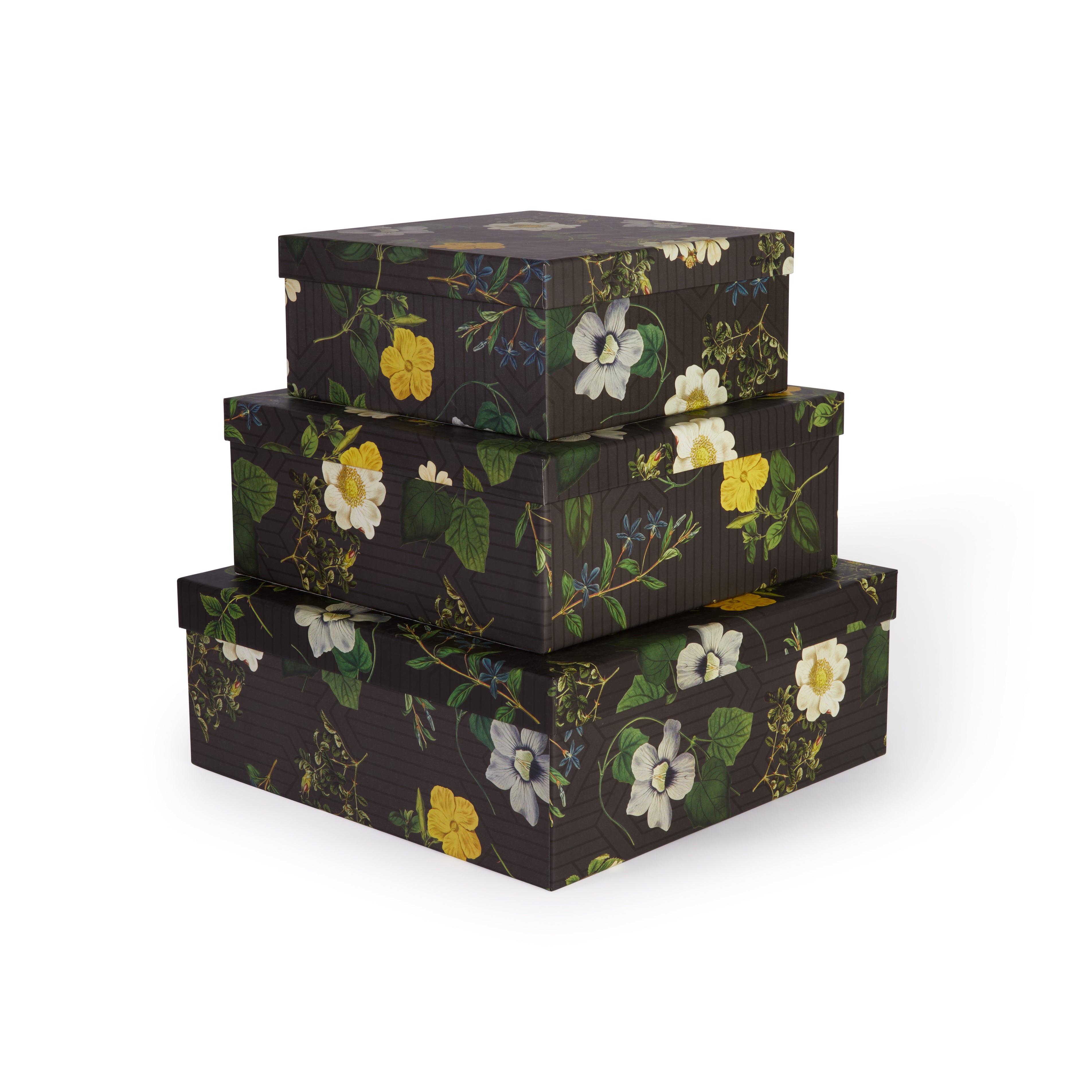 Night Garden Large Square Gift Box
