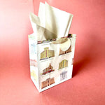 Bombay Deco Medium Gift Bags with Tissues