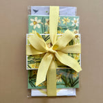 Daffodils Gift Set (Option 2)