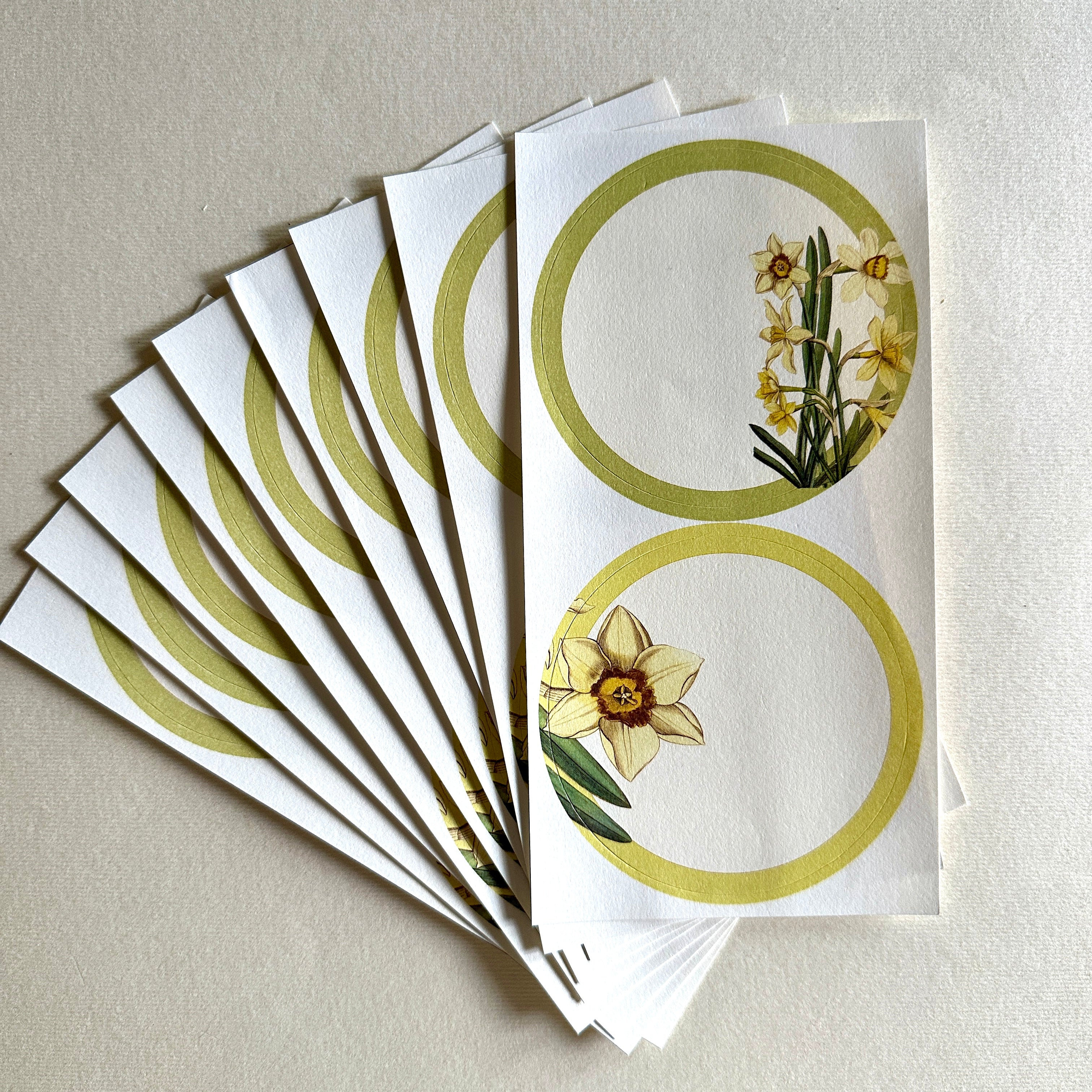 Daffodils Stickers