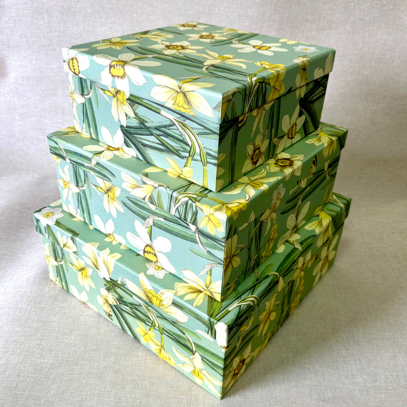 Daffodils Set of 3 Square Gift Boxes