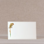 Tropical Muse Gift Hamper