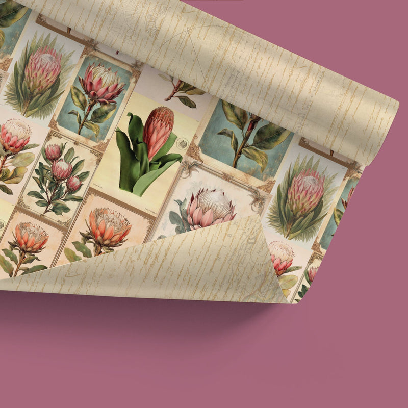Proteas Gift Wrap