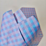 Violet Small Gift Bags with Tissues